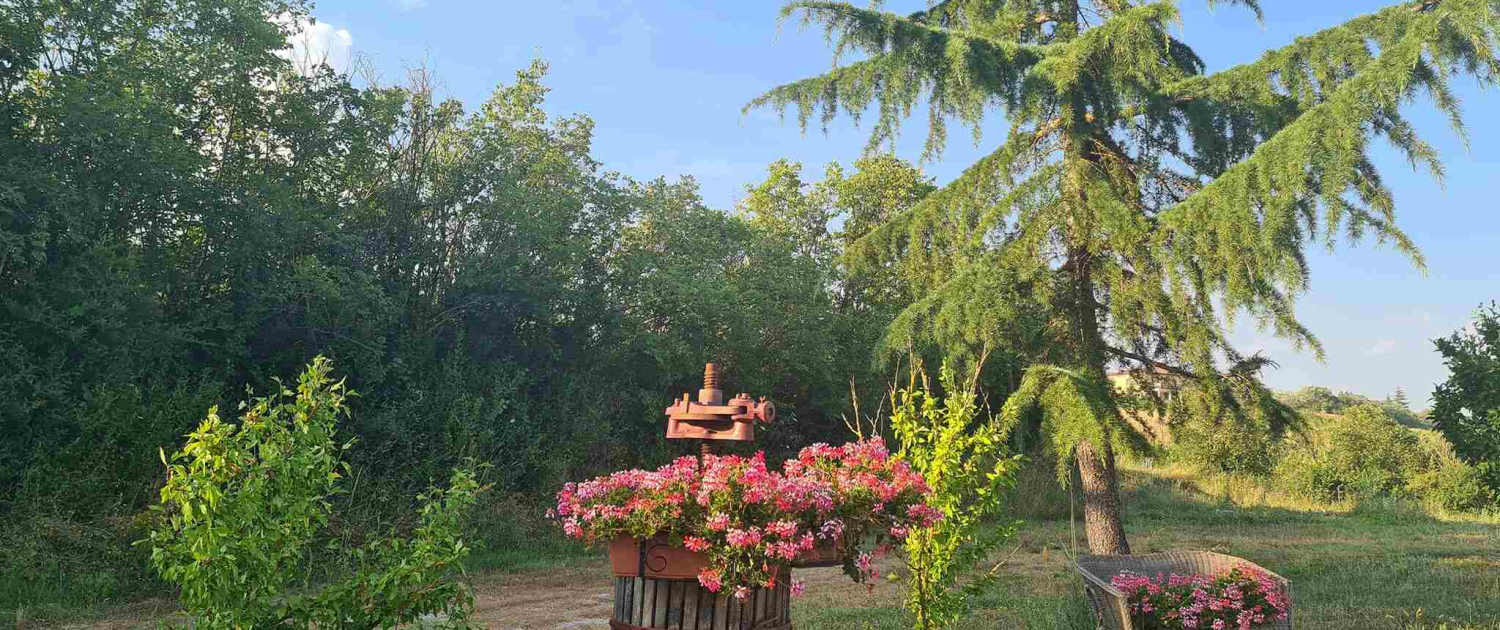 azienda 7 min